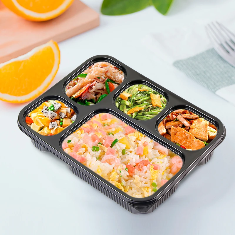 5 compartments-1 5 compartments-1