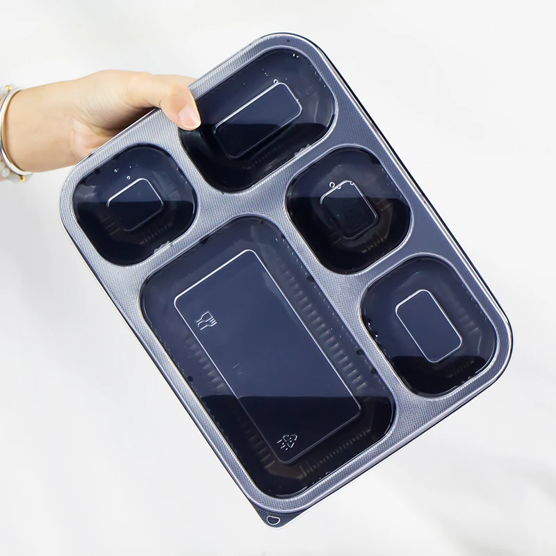 5 compartments-4 5 compartments-4