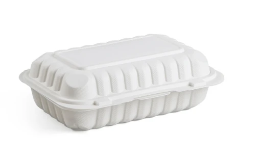 9x6 Inch food storage box