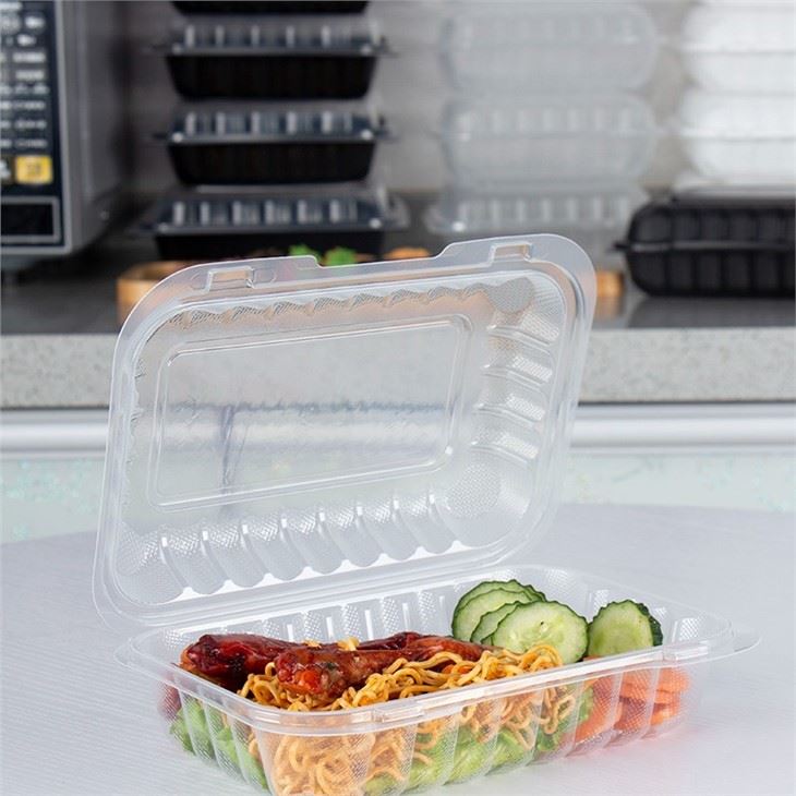 9x6 Transparent Clamshell Takeout Box