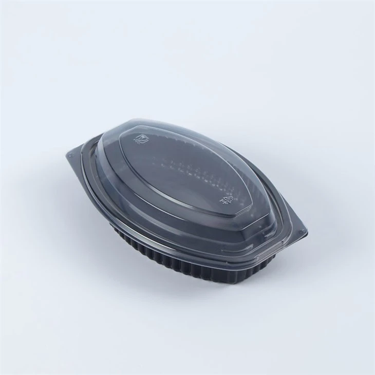 2 Compartment Plastic Takeout Bento Boxes
