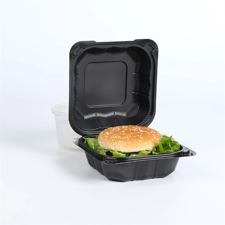 Kaxxa Bento Disposable Eco Friendly