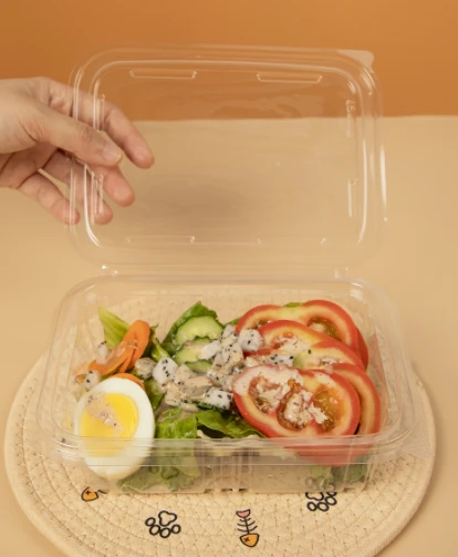 Skutelli tal-insalata tal-plastik rettangolari