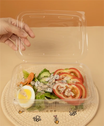 Skutelli tal-insalata tal-plastik rettangolari