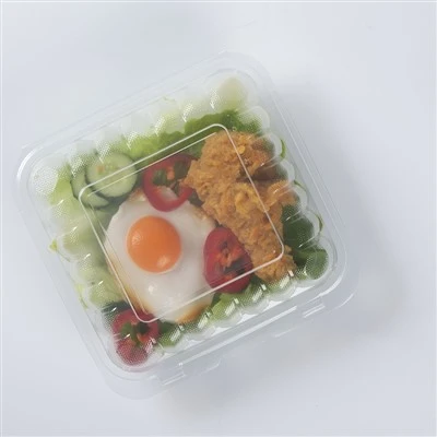 Take Away Ikel Disposable Bento Lunch Box