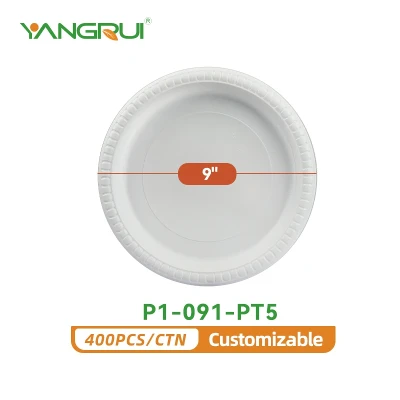 P1-091-PT5 P1-091-PT5