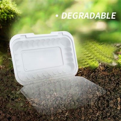 Togo Container Togo Container